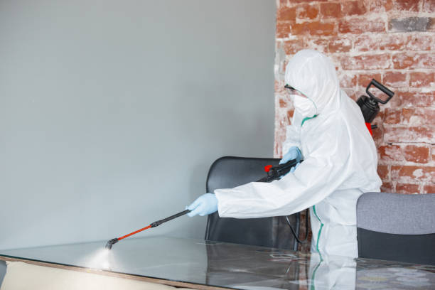 Environmental Consulting for Mold Prevention in Nedrow, NY