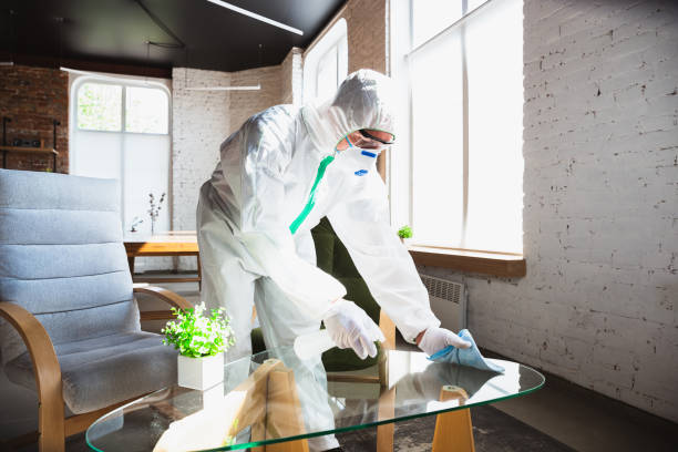 Best Mold Odor Removal Services  in Nedrow, NY