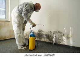 Why You Should Choose Our Mold Remediation Services in Nedrow, NY